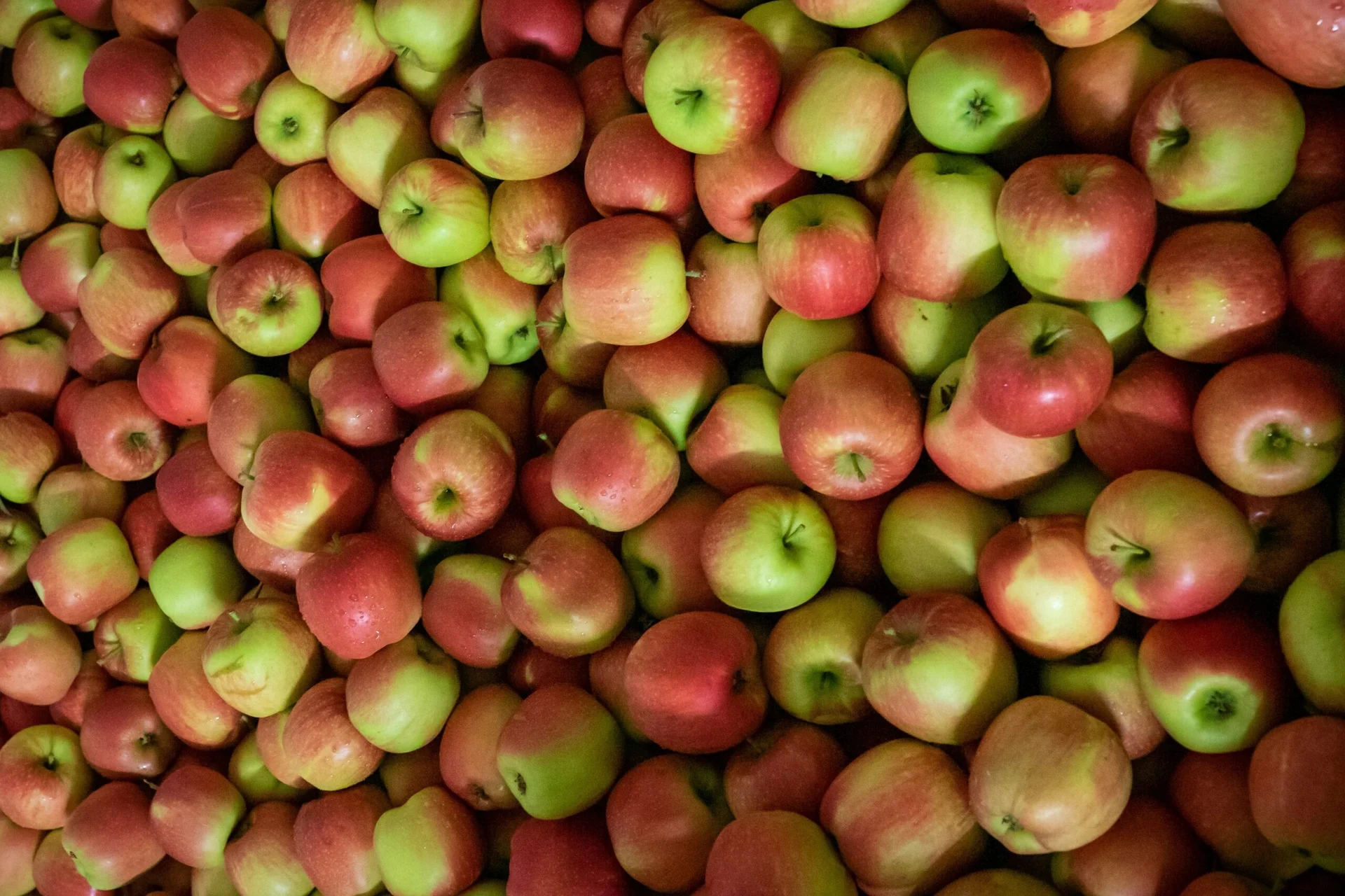 Is Cider Different Around the World?